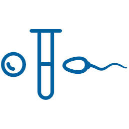 In-Vitro-Fertilisation (IVF)