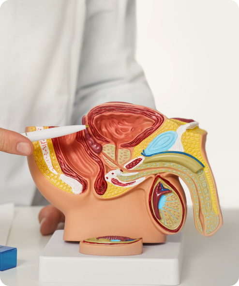 Abteilung für Andrologie